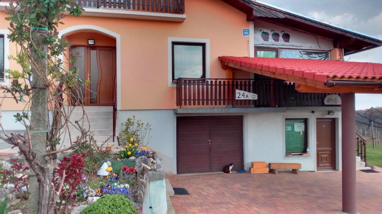 Studio Apartman Safaric Sveti Martin Na Muri Exteriör bild