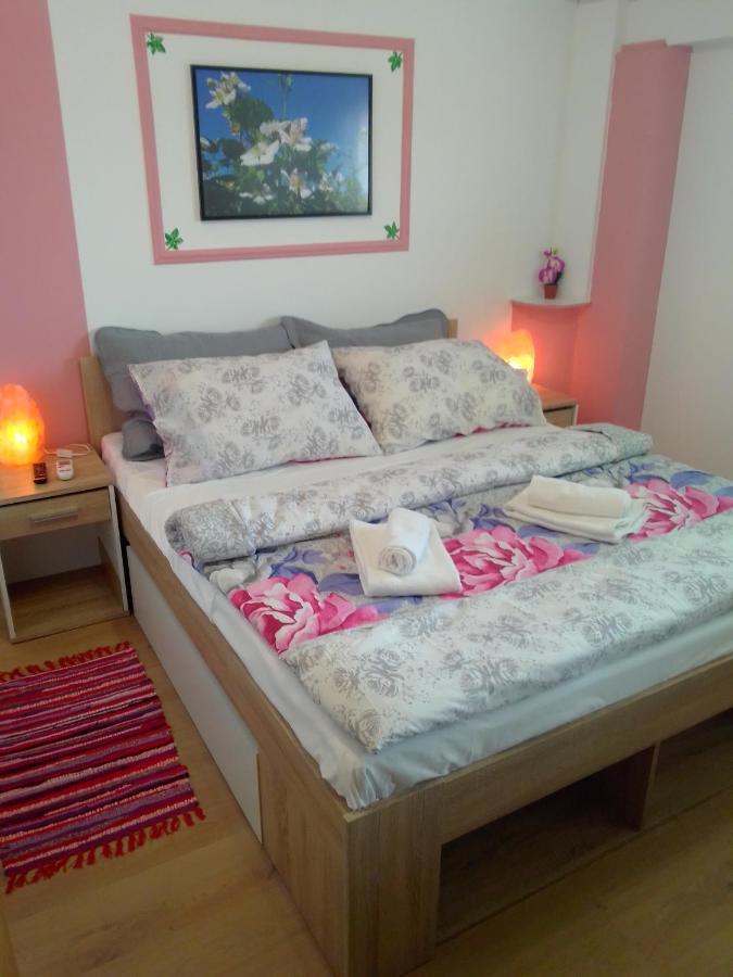 Studio Apartman Safaric Sveti Martin Na Muri Exteriör bild